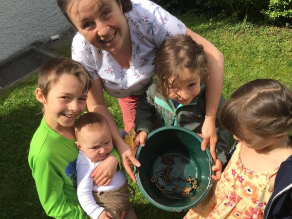Eine Familie hat Amphibien gerettet 