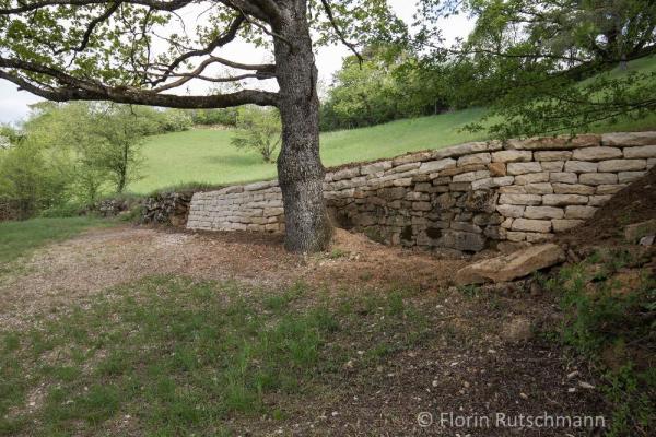 Restaurierte Trockenmauer ohne Vegetation