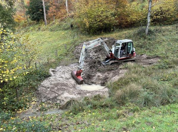 Une pelleteuse creuse un trou en lisière de forêt