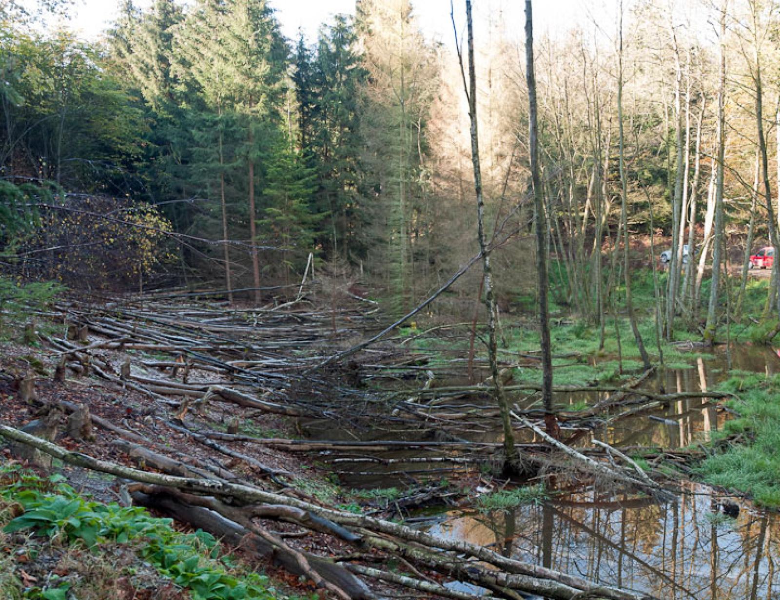 Chantier le long d’une petite rivière de moyenne montagne dans l’Eifel (Allemagne) (© Christof Angst)