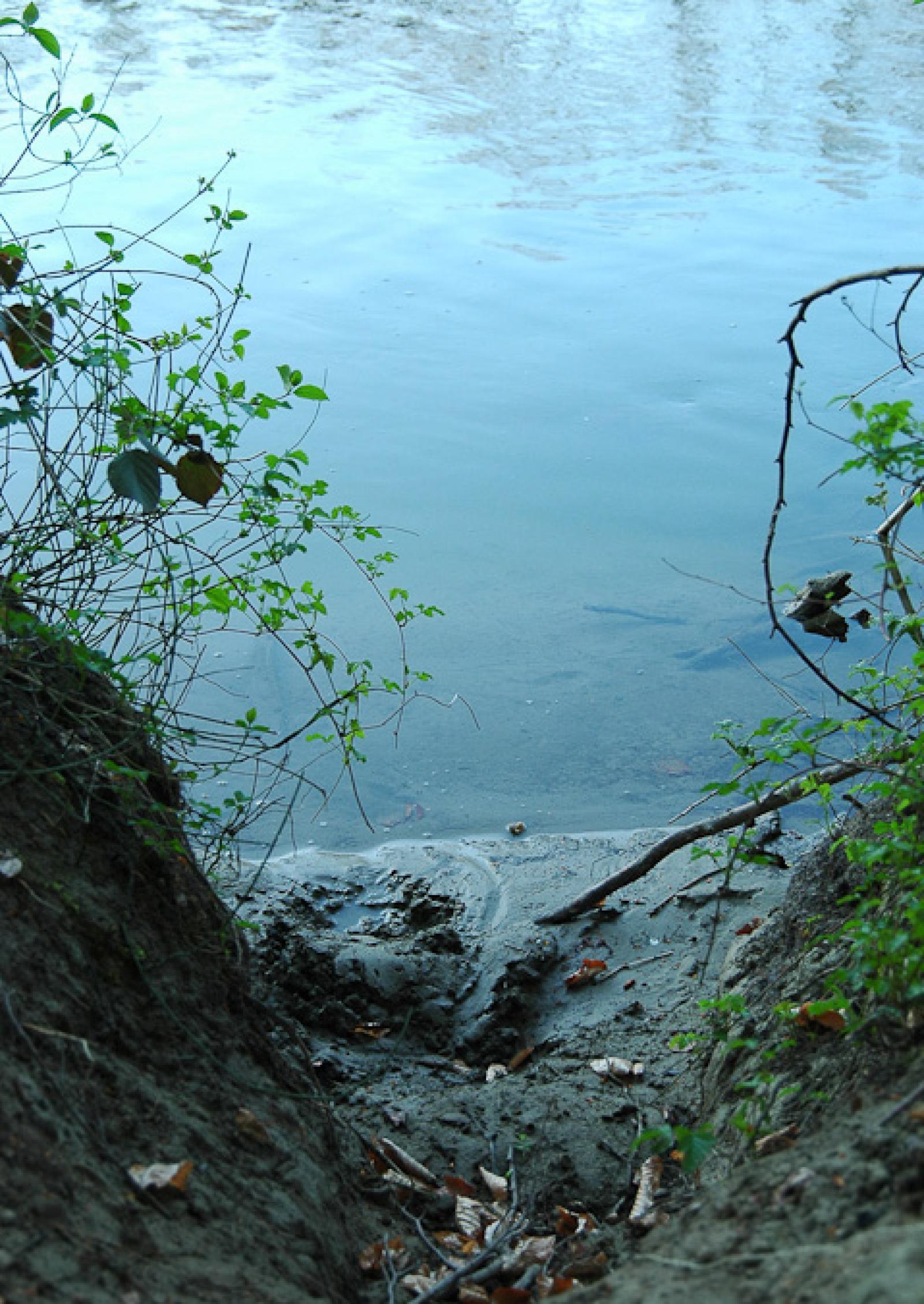 Emplacement typique pour le marquage : sur une petite plage, le sable est gratté pour former une petite colline, puis marqué au moyen de castoréum (© Christof Angst)