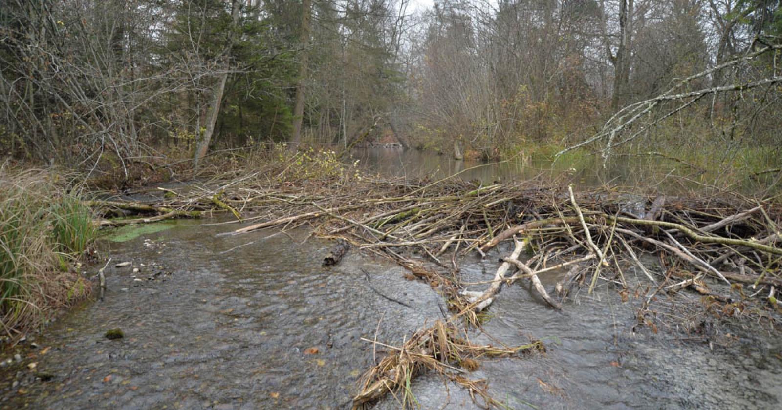 Barrage secondaire de 20 mètre de large dans une rivière