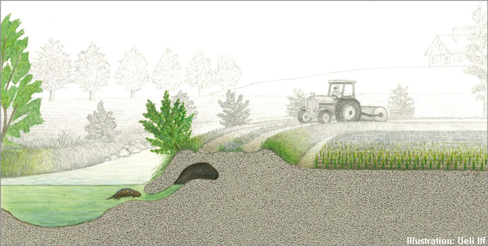 Terre agricole proche d'une zone riveraine avec risque de conflit