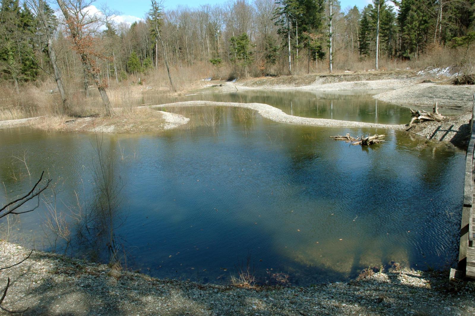 Semi-permanenter Weiher