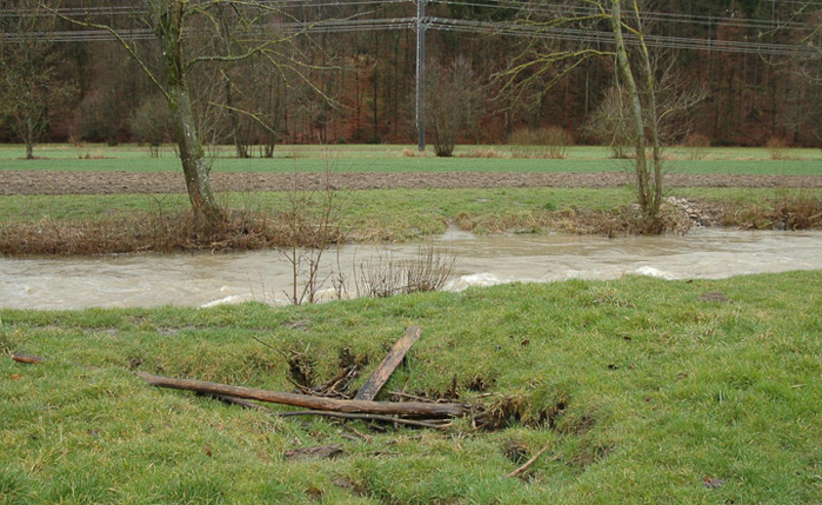 Terrier abandonné le long d’un petit ruisseau. Le toit de ce terrier s’est entièrement effondré (© Christof Angst)