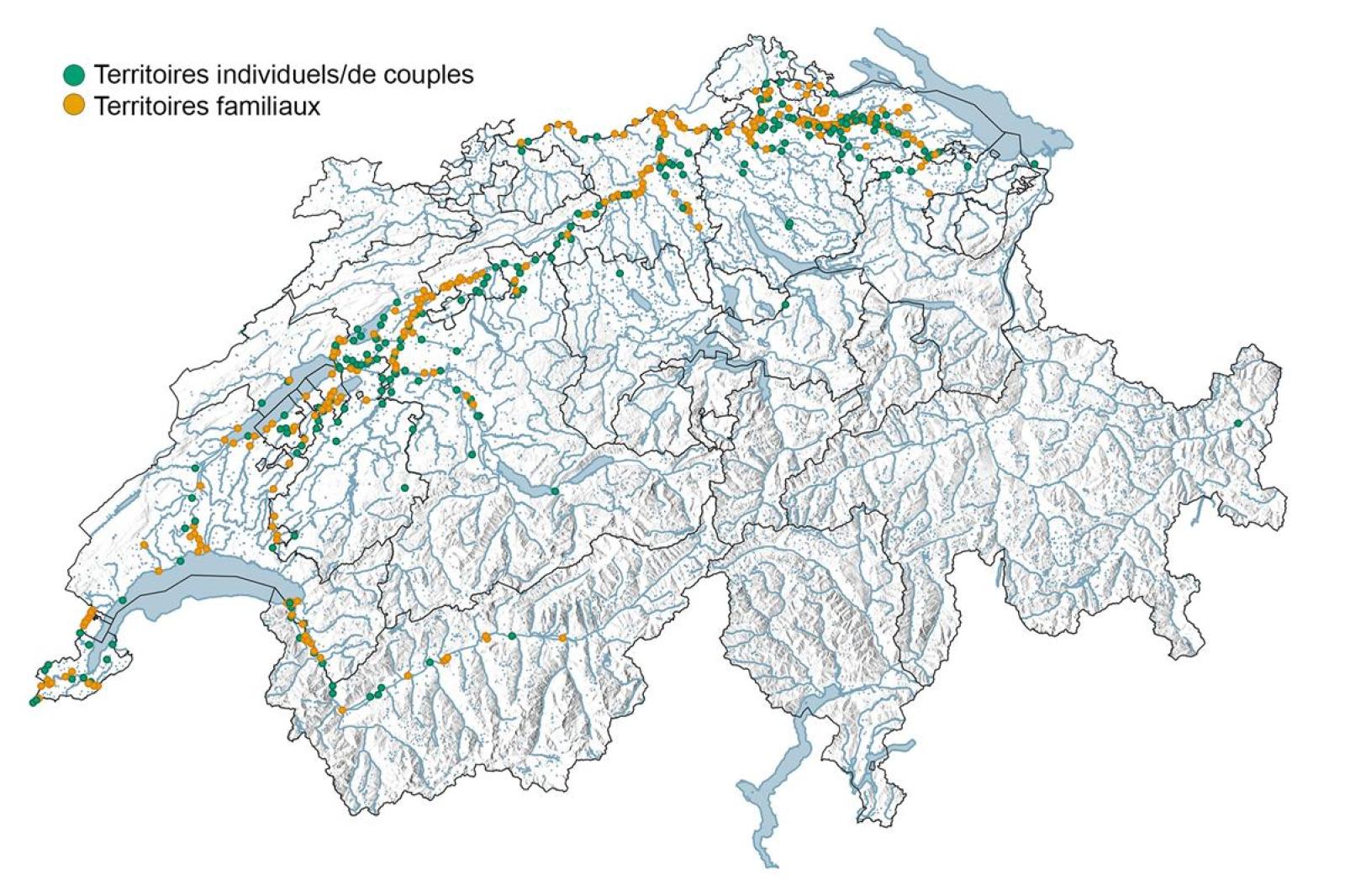 Carte de distribution du castor en Suisse
