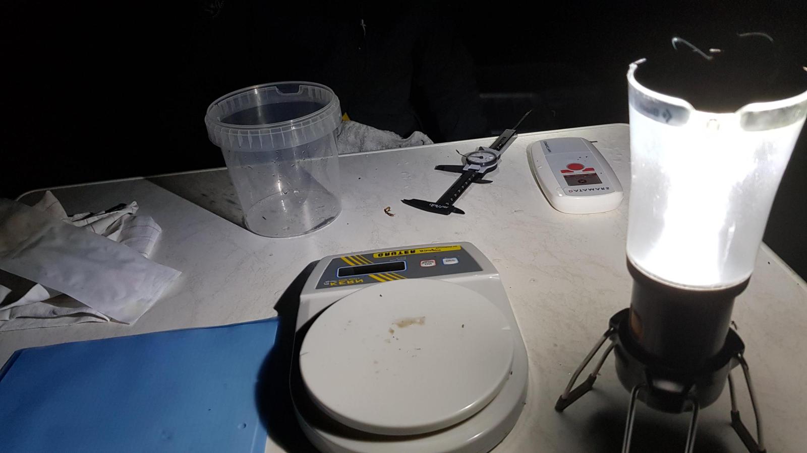 Lampe, balance et ciseaux