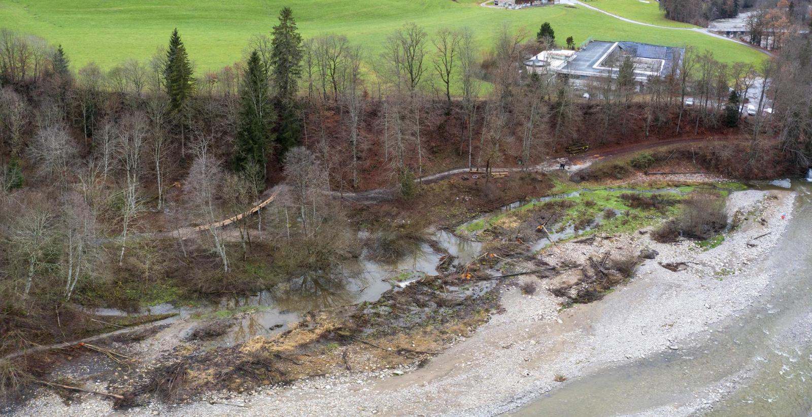 Image par drone d'un territoire de castors en forêt