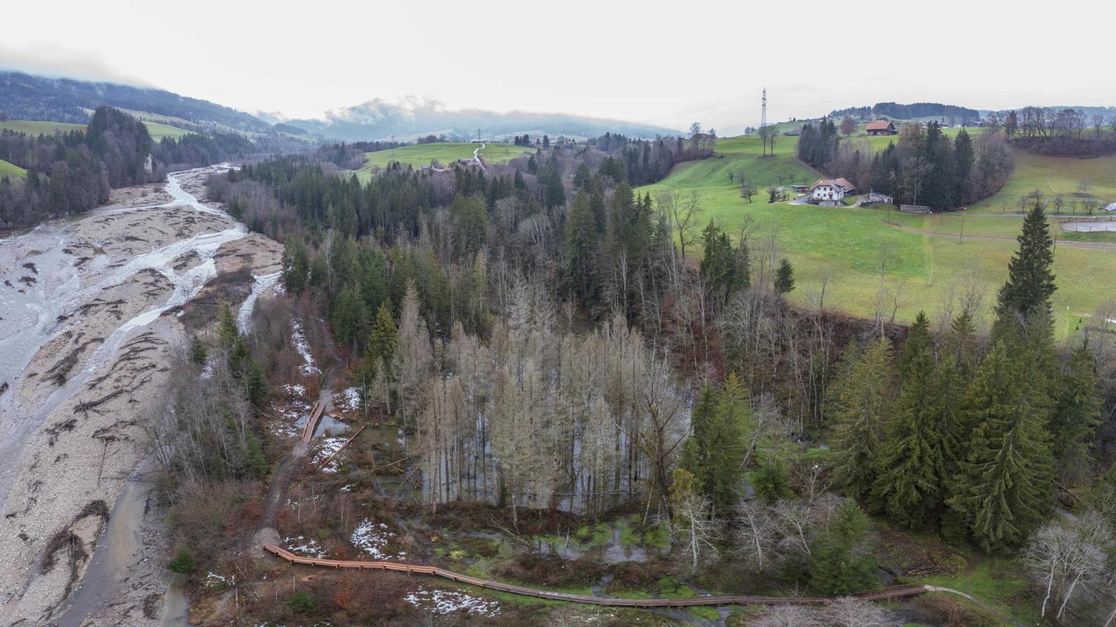 Image par drone d'un territoire de castors en forêt