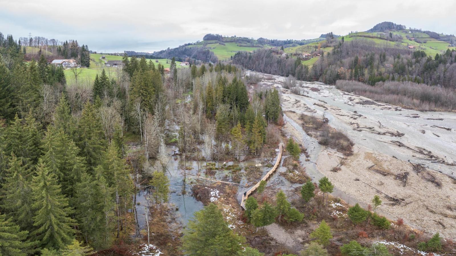 Image par drone d'un territoire de castors en forêt