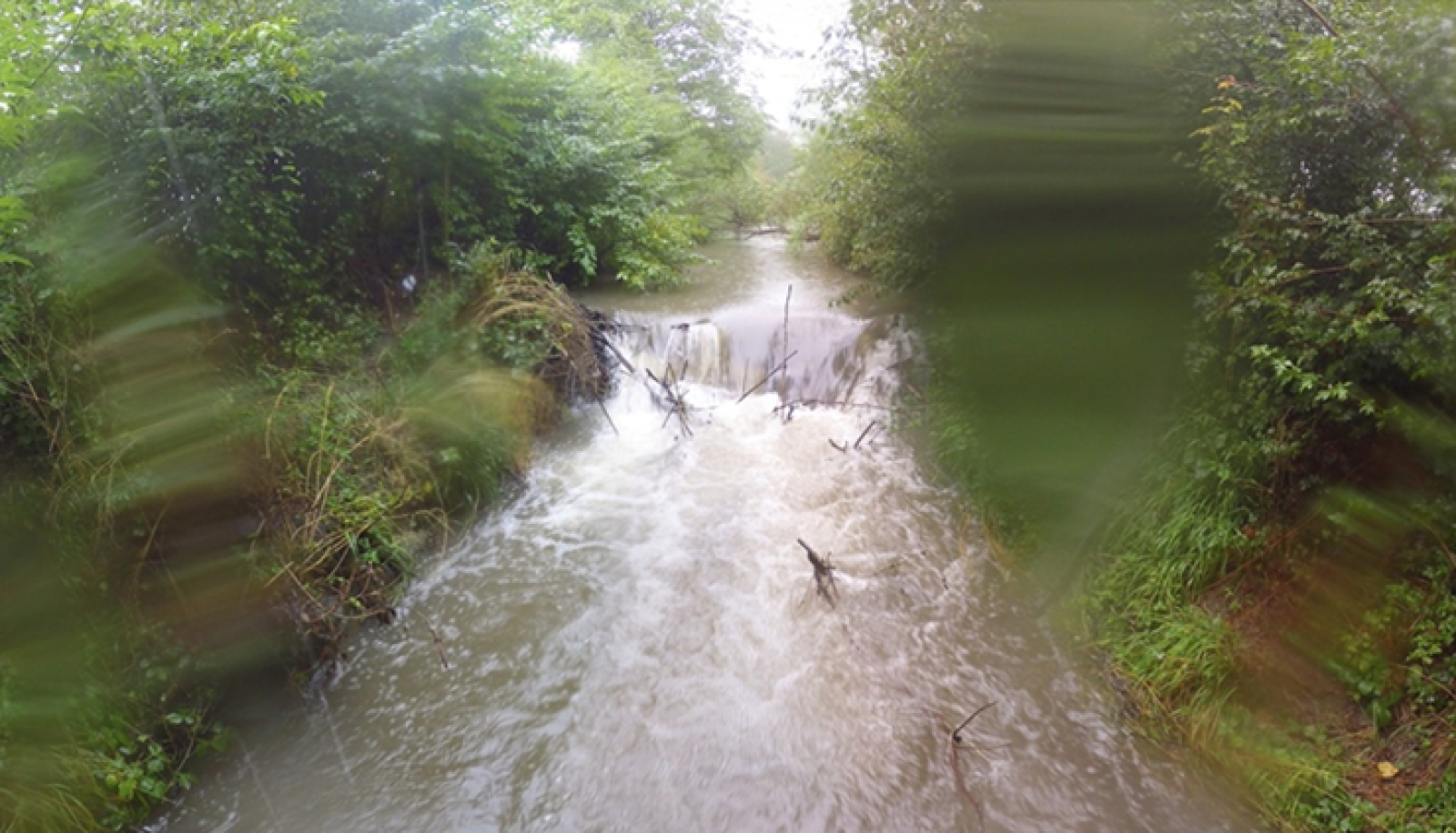 Inondation du barrage de castors