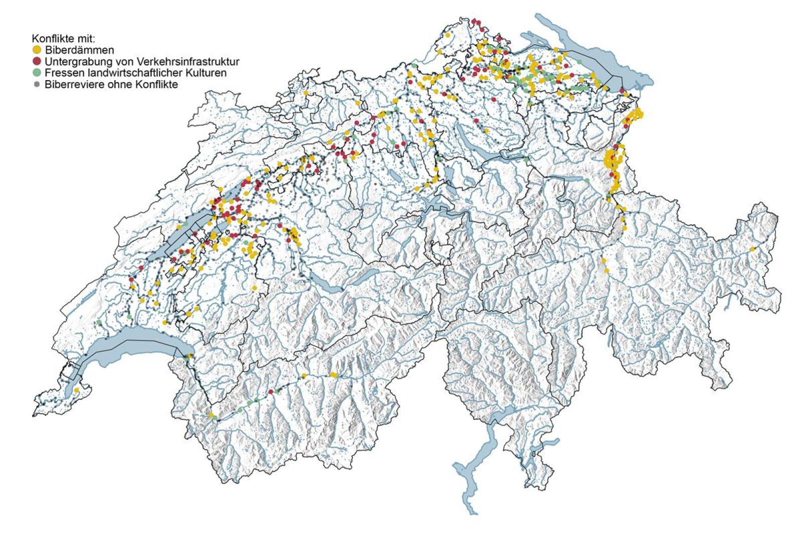 Verteilung der Biberreviere mit Konflikten