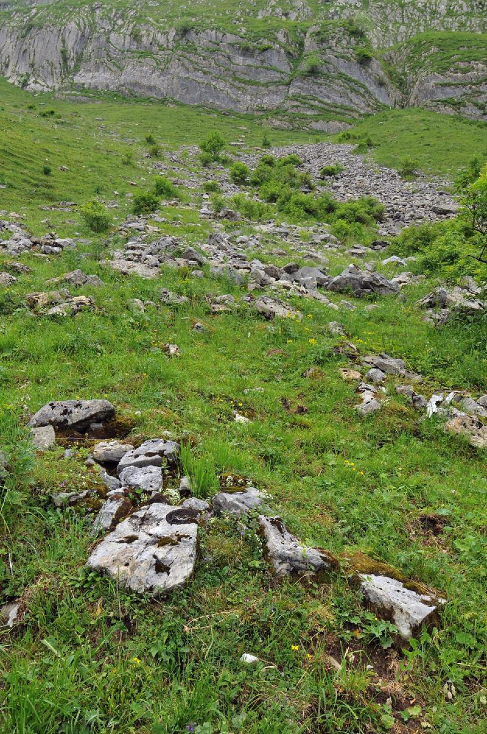 Pâturage alpin avec bloc de pierres