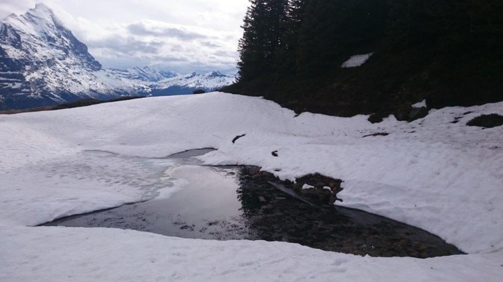 Plan d'eau avec rives enneigées