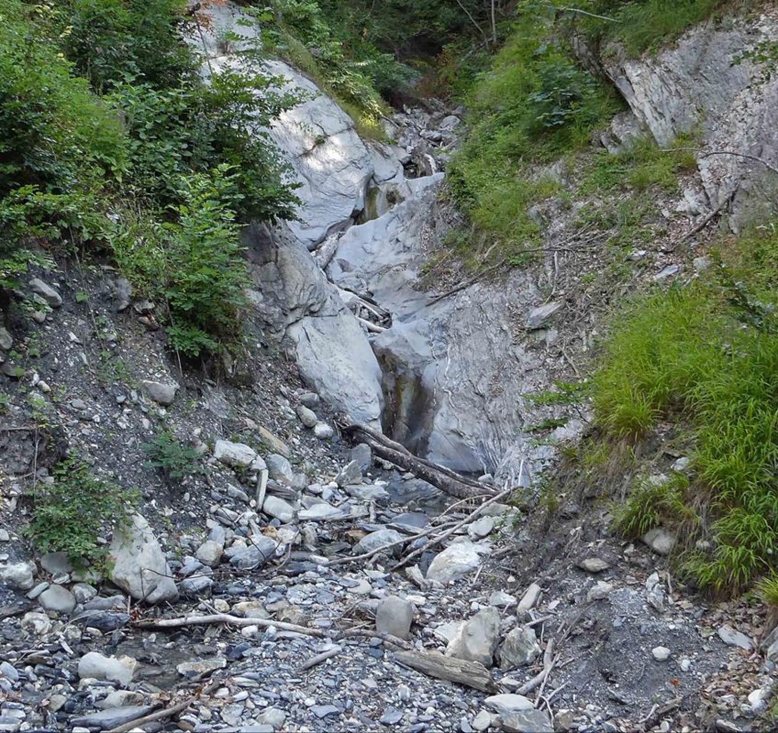 Gorge forestière