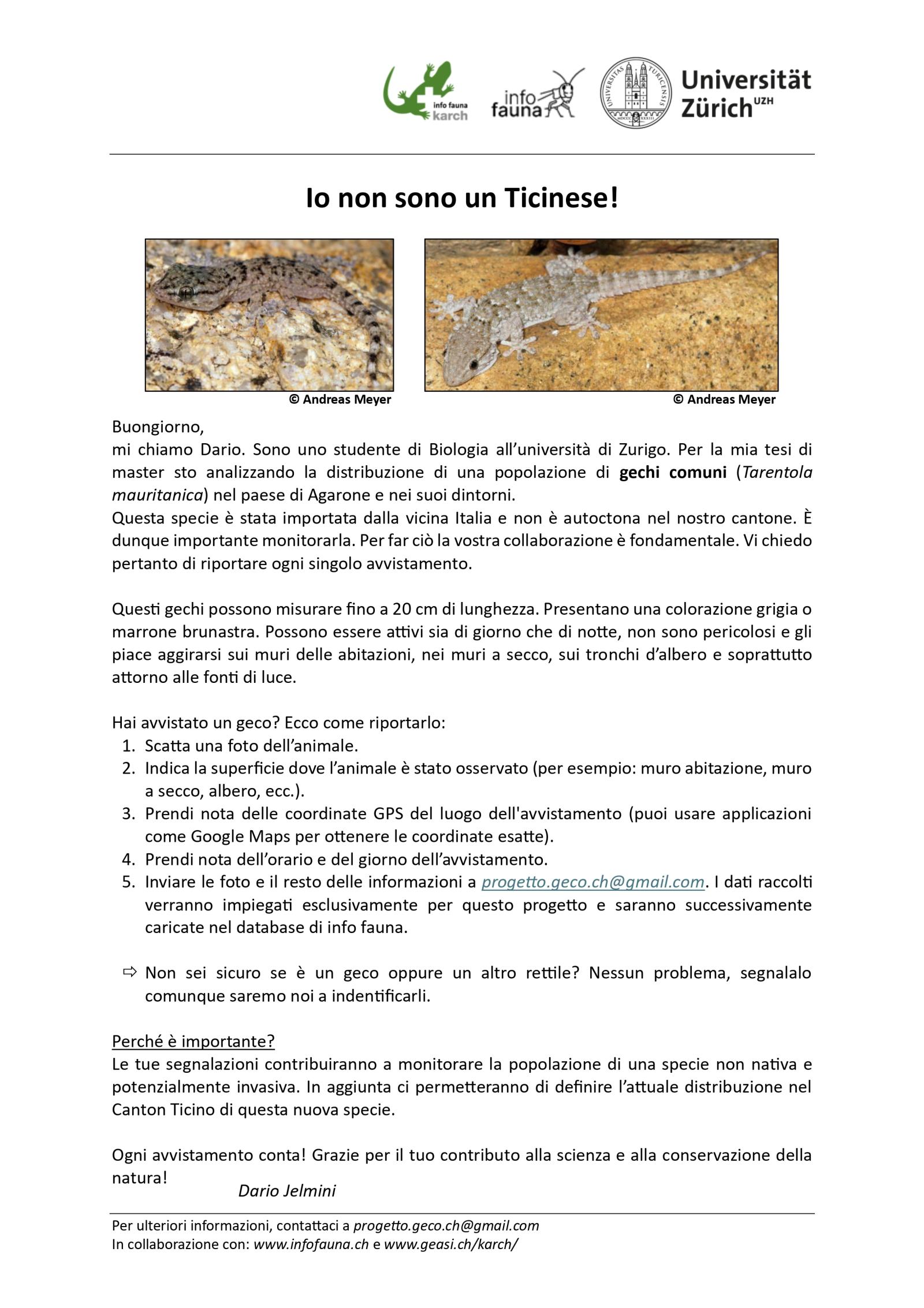 Flyer progetto geco
