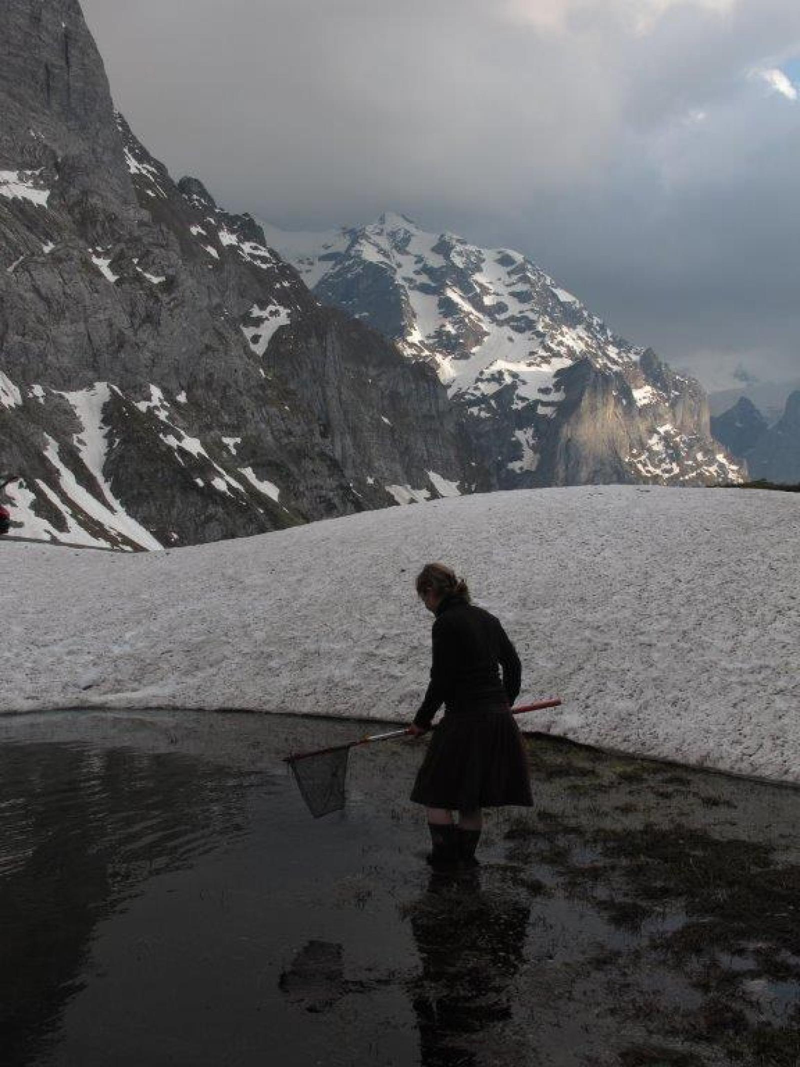 Femme dans l'eau avec une épuisette