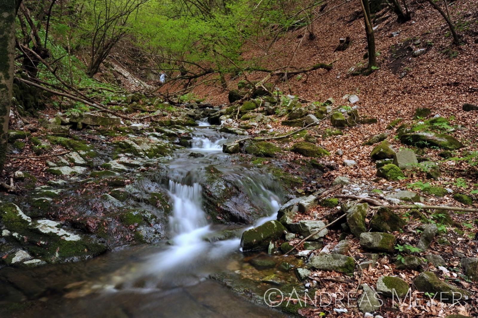 Waldbach
