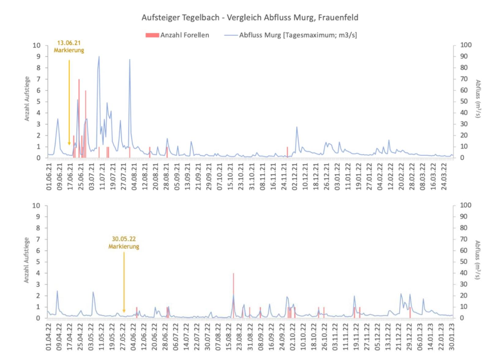 Graphique des axes temporels avec des remontées de poissons et des crues (Kreienbühl et al., 2024)