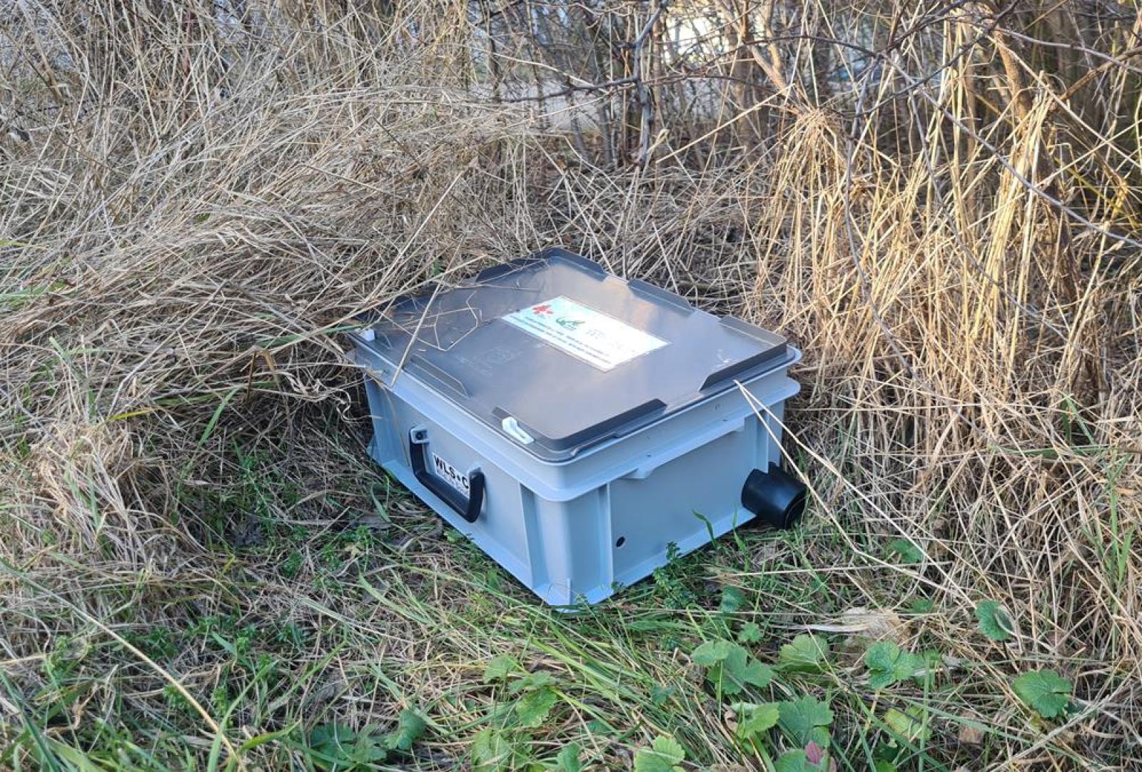 Eine Plastikkiste im hohen Gras