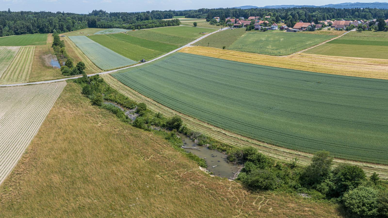 Territoire de castors à Hersiwil SO (© Christof Angst)