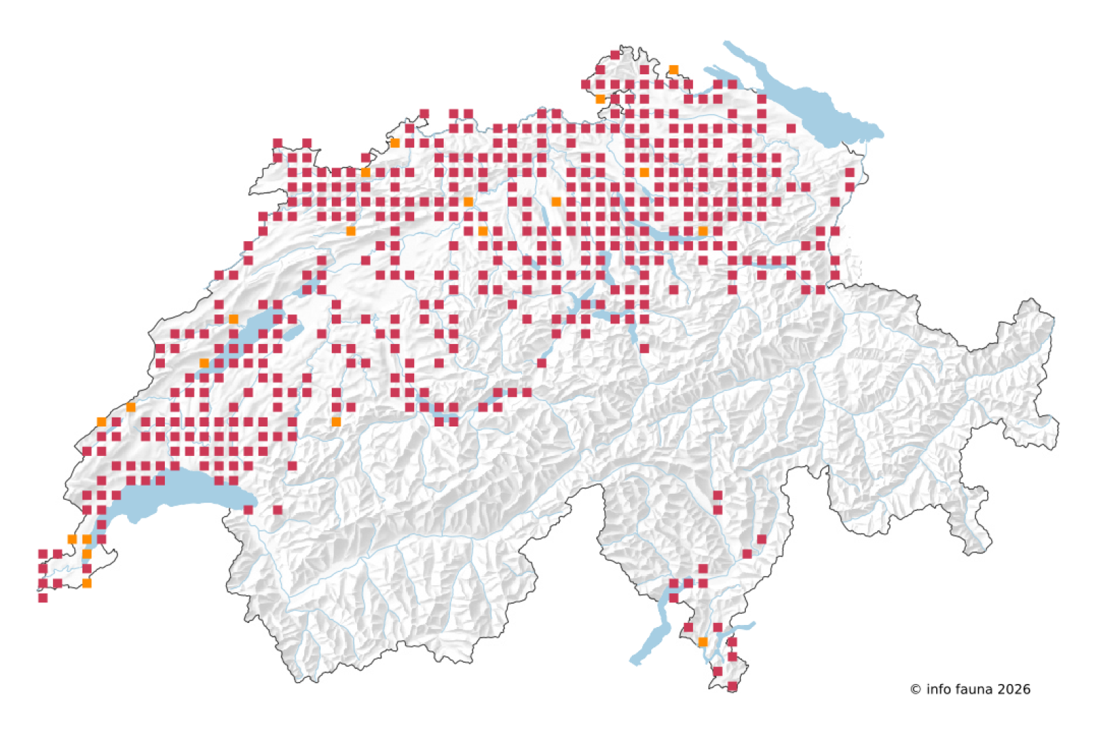 Beobachtungskarte von Ephemera danica in der Schweiz