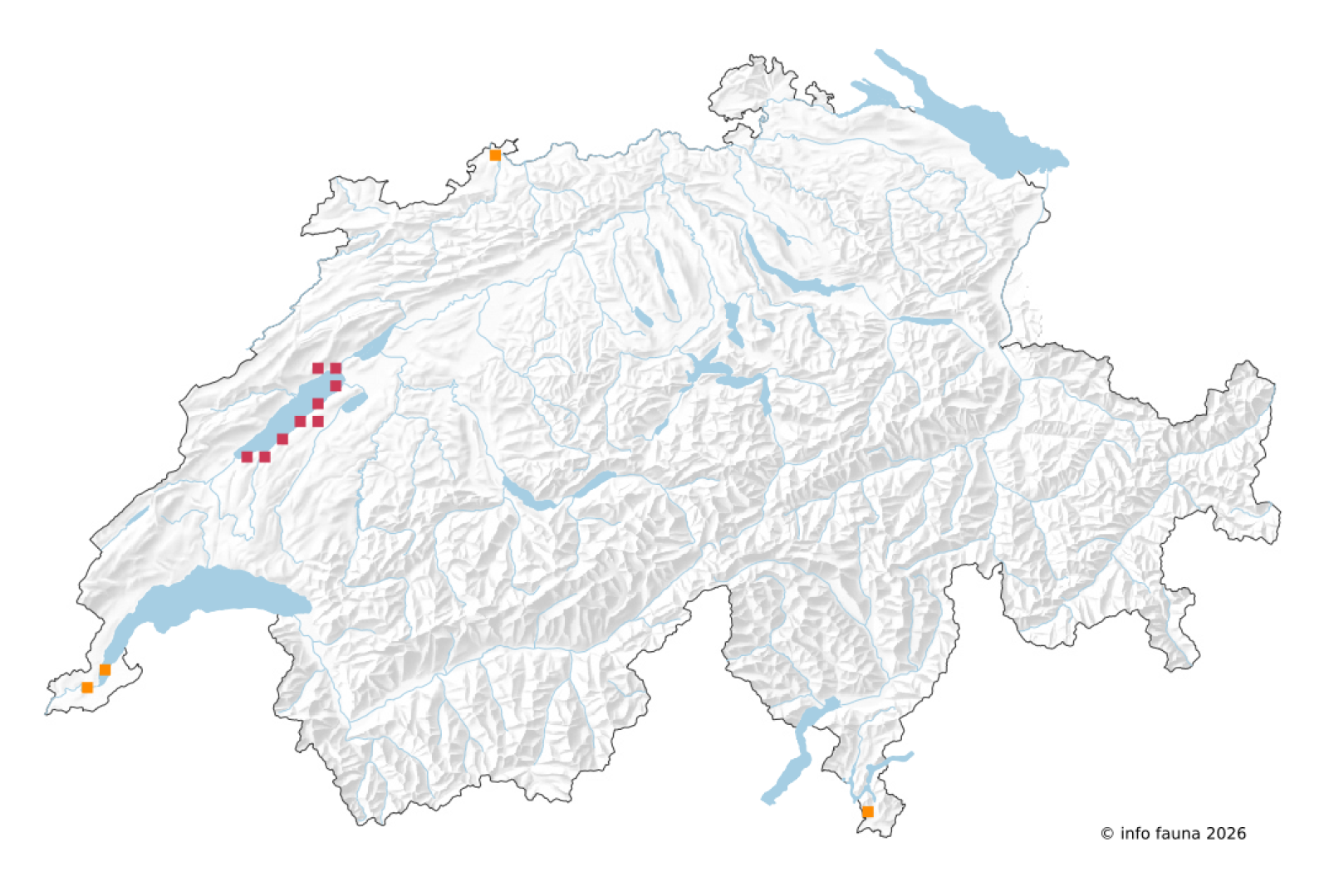 Carte d'observation de Ephemera lineata en Suisse