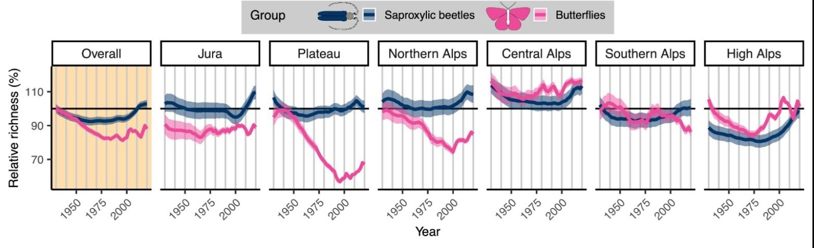 Grafico che illustra l'andamento del numero di specie di coleotteri saproxilici e di farfalle diurne tra il 1930 e il 2021. (Grafico: Neff et al., Nature Ecology and Evolution)