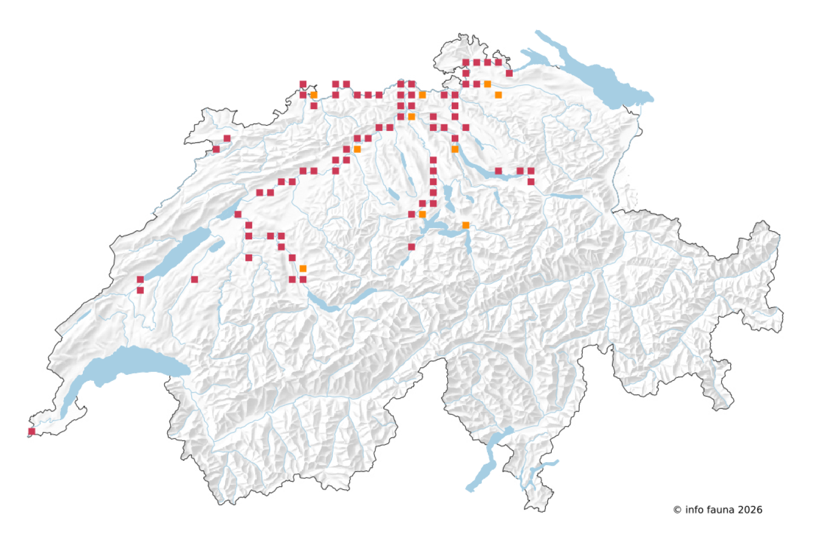 Carte des observations de Potamanthus luteus