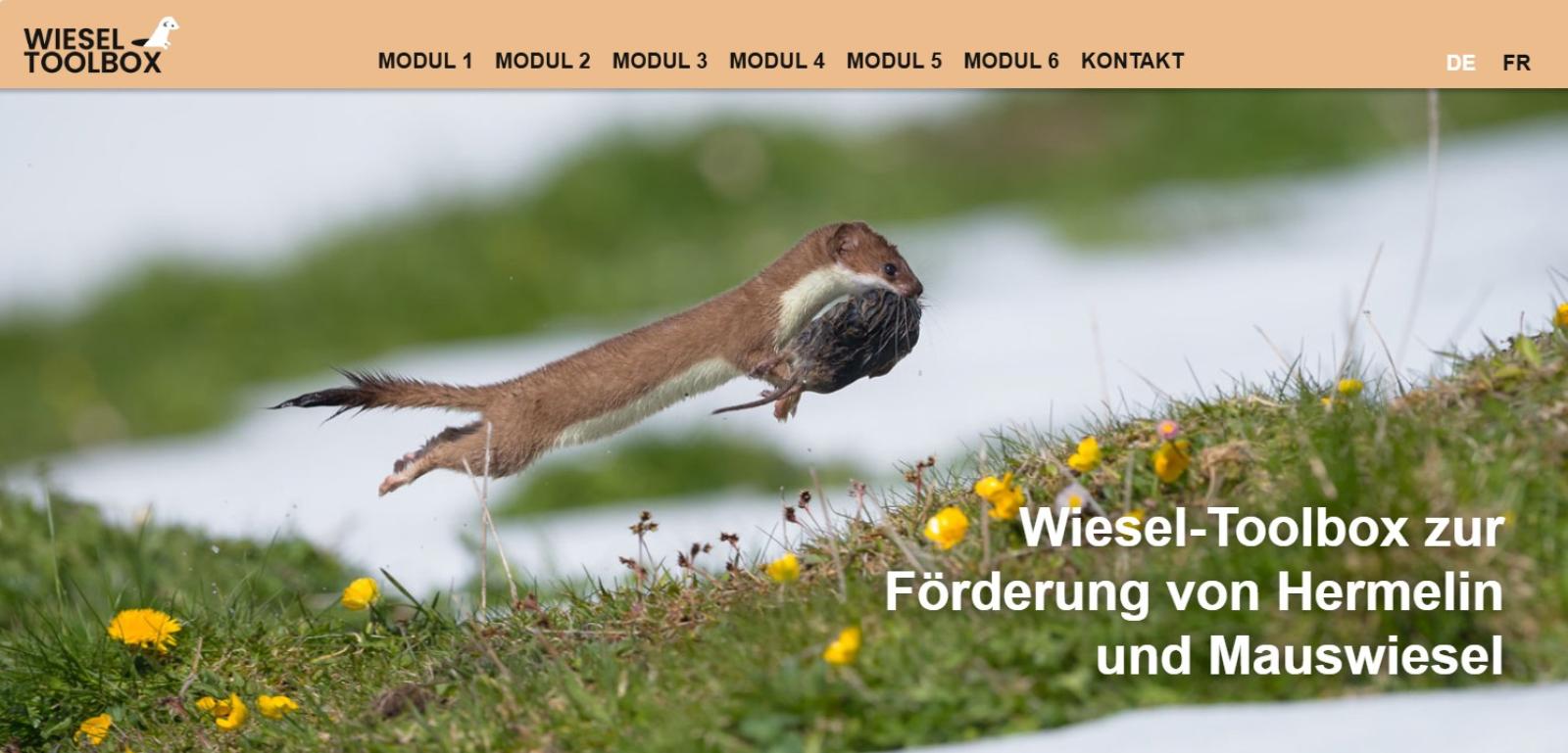 Titelseite der Webseite Wiesel-Toolbox