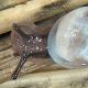 Mollusques de Suisse Maillot froment - Granaria   frumentum