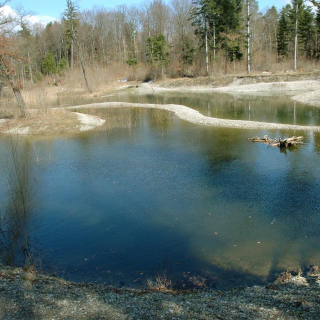Etang semi-permanent