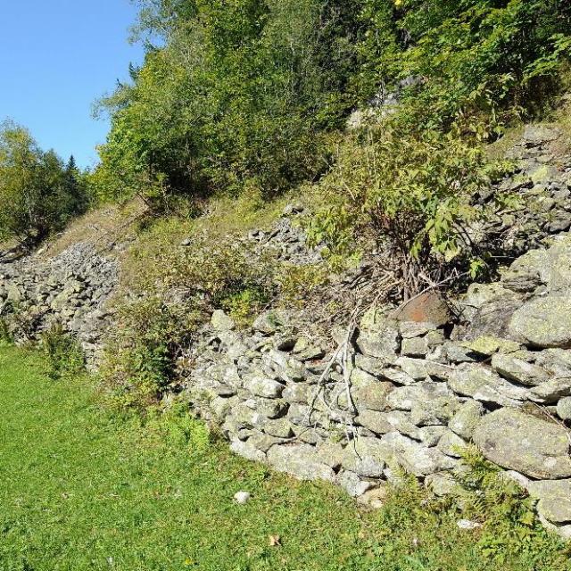 Mur de soutènement au bord d'une prairie extensive