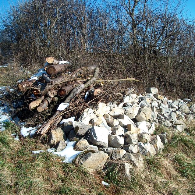 Stein- und Asthaufen neben Hecke