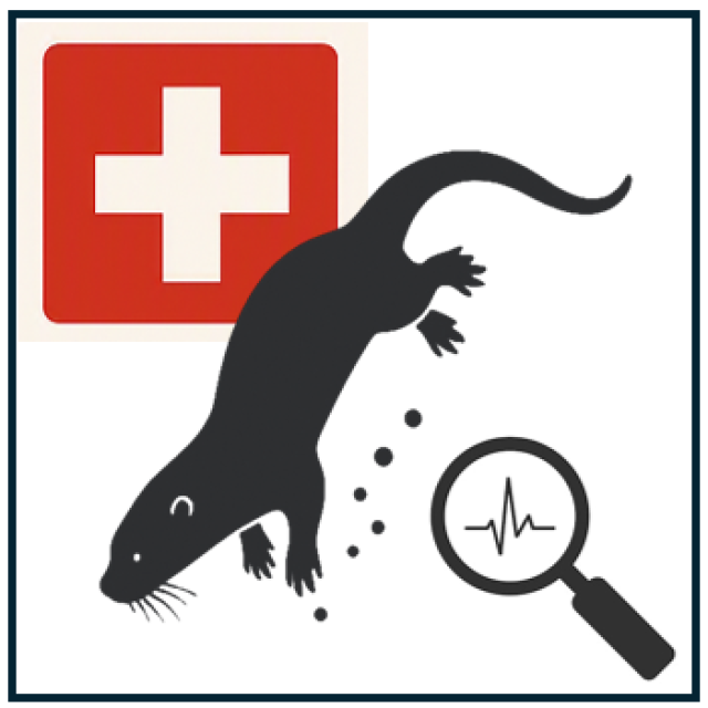 Grafik Fischotter - Schweiz - Lupe mit Gesundheitsparameter