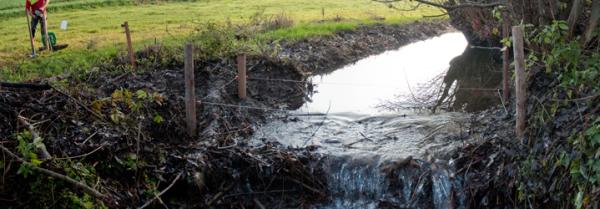 Barrage de castor abaissé et protégé par une clôture électrique