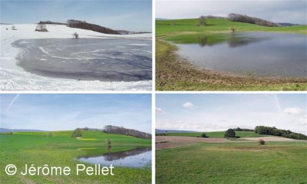  Prairie inondable 