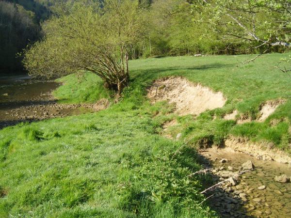 Uferbereich mit kleiner Rutschung