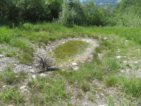Zur Hälfte mit Wasser gefüllter Weiher