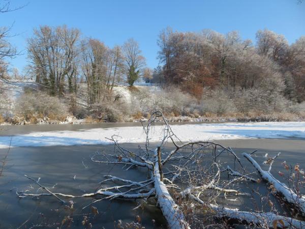 Weiher im Winter mit Eisschicht