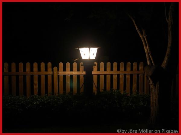 Strassenlaterne beleuchtet nachts einen Garten 