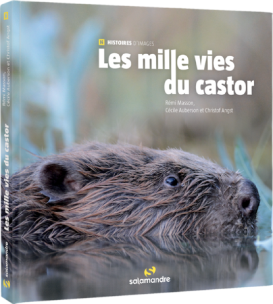 Page de couverture Les mille vies du castor