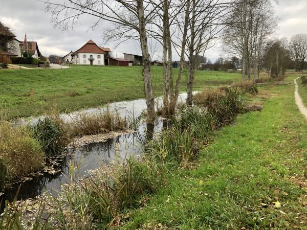 ruisseau avec pâturage inondée