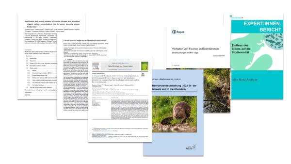Publikationen nationales Biberforschungsprojekt