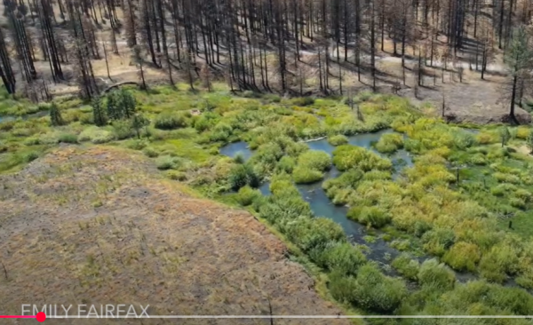 Paysage brulée avec des espaces verts et des plans d'eau au milieu