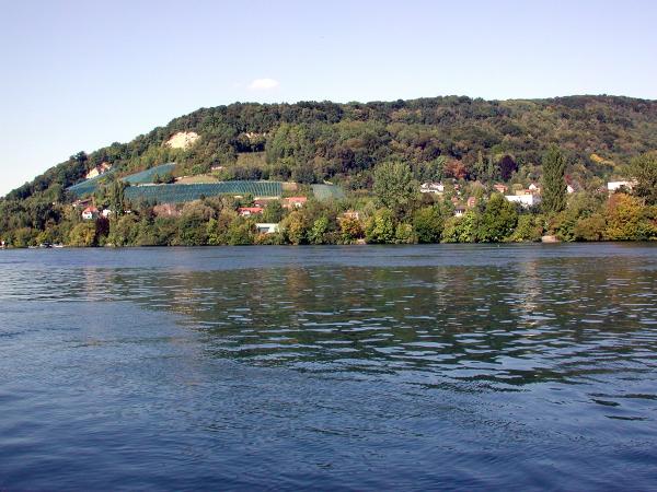 Odonaten der Schweiz Gelbe Keiljungfer  - Gomphus  simillimus 