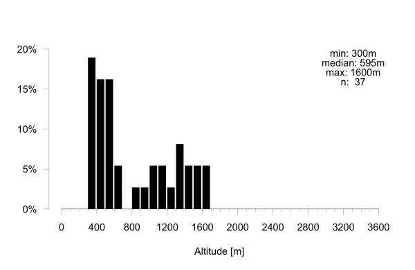 Les abeilles sauvages de Suisse Andrène des Ombellifères - Andrena alutacea