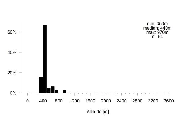 Wildbienen der Schweiz Schmuckbiene - Epeoloides coecutiens