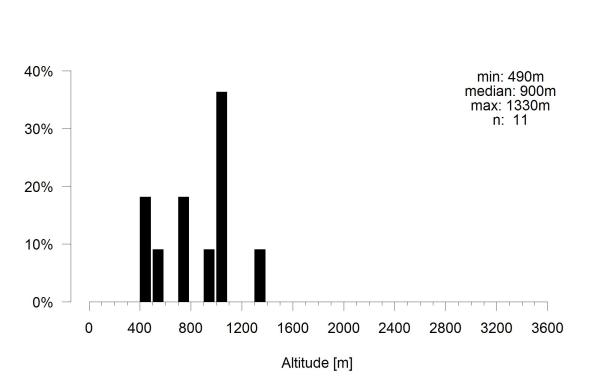 Les abeilles sauvages de Suisse  - Hoplitis acuticornis