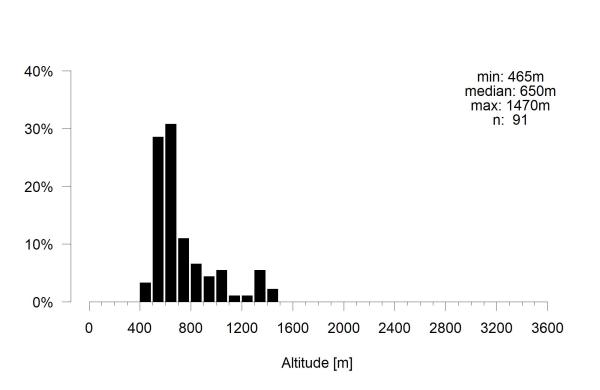 Les abeilles sauvages de Suisse Méliturge clavicorne - Melitturga clavicornis